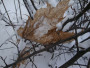 Foto: Iveta Apškrūma