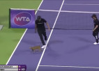 Video: Tenisa spēles laikā atbildīgā brīdī laukumā izskrien kaķis