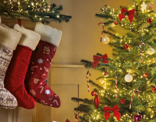 Kā rotāt egli katrai horoskopa zīmei?