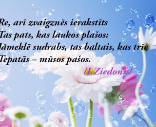 Tava vārda skaidrojums (nozīme) un ietekme uz tavu likteni. 3.septembris- Berta, Bella