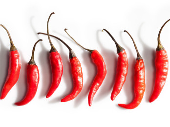 Rakstnieku pavārgrāmata