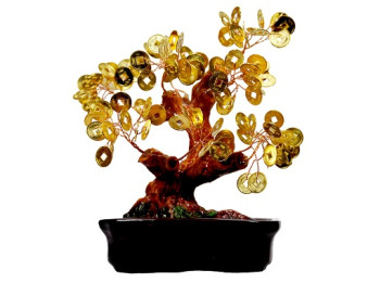 Fen šui talismani: naudas, laimes,  veselības, mīlestības koks