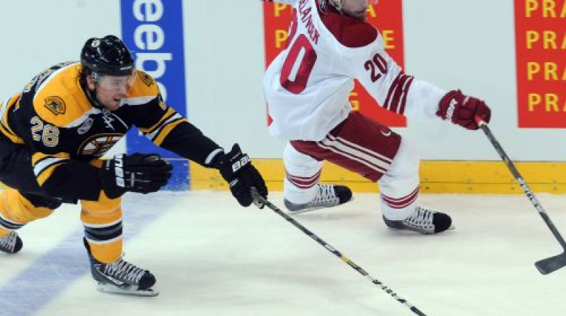 Sacīkstē starp ''Coyotes'' un ''Bruins'' hokejistiem pārāki bija pirmie
Foto: AFP/Scanpix