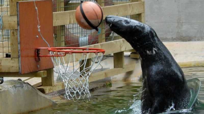 Ronis Puika izaicina BK "Ventspils" spēlētājus uz basketbola maču
foto: Publicitātes foto