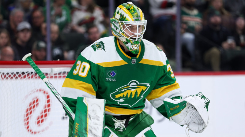 "Wild" vārtsargs Jespers Vallstets. Foto: AP/Scanpix