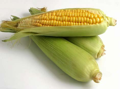 Ko der zināt par kukurūzu