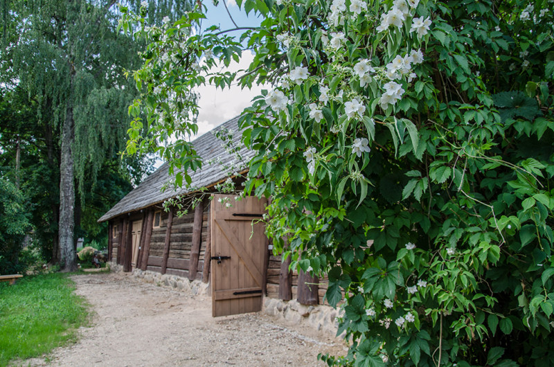 Tadenava. Raiņa dzimtās mājas atvēršana