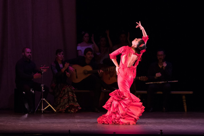 Koncertzālē “Cēsis” aicina baudīt autentisko flamenko ģitārmūzikā un dejās