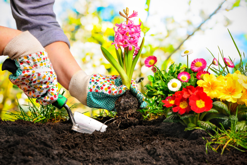 Klāt dārza darbu sezona – kā izveidot skaistu un funkcionālu dārzu?