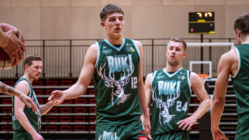 Zilais putniņš dzied par labu Gulbenei