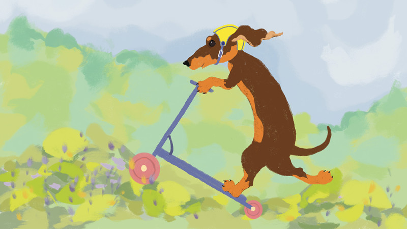 Latvijas Leļļu teātrī top izrāde “Sunāns!” latviešu un latgaliešu valodā